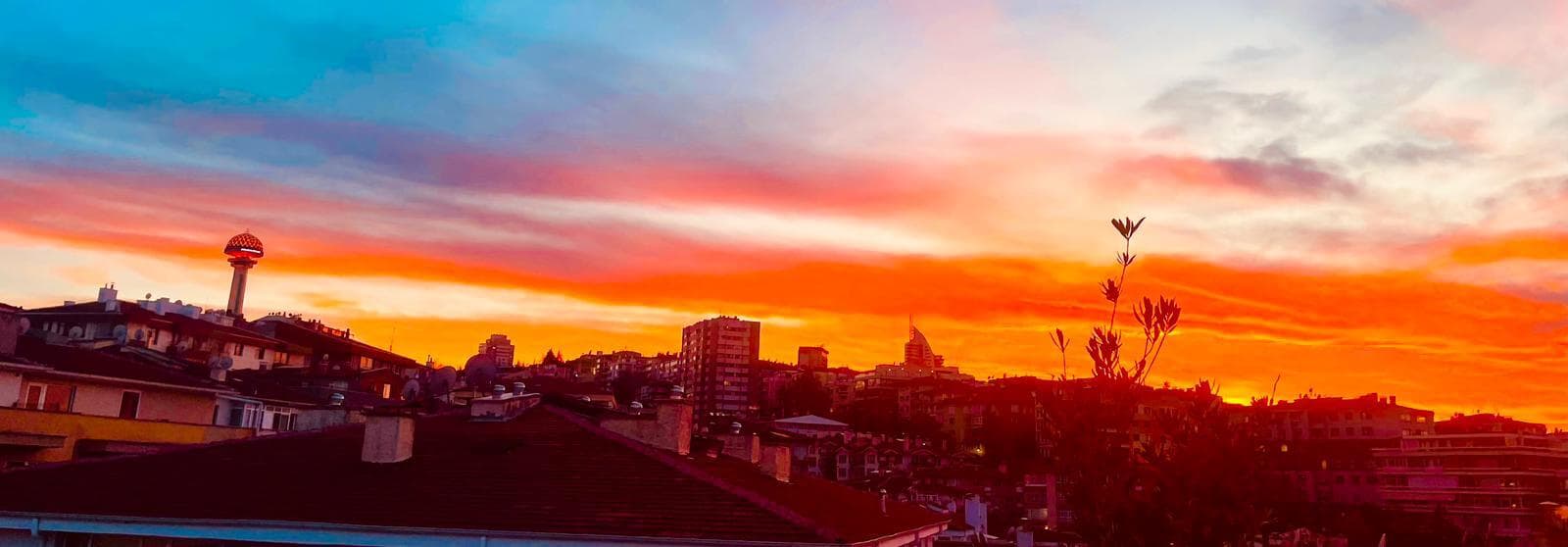 Safie Meyhane Roof Çankaya