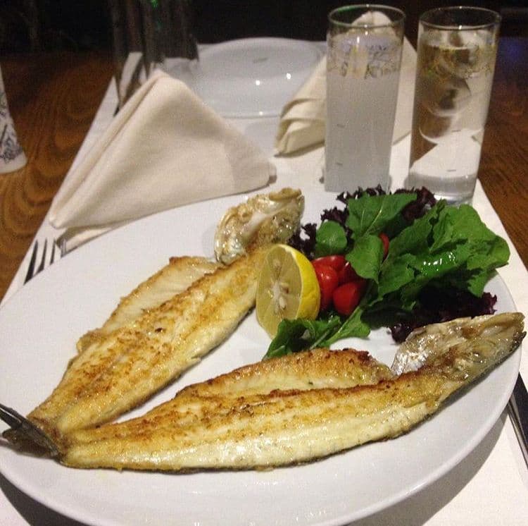 Mustafa Meyhane - 4. Fotoğraf