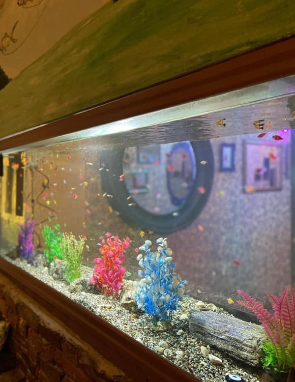 Trio Meyhane - 11. Fotoğraf