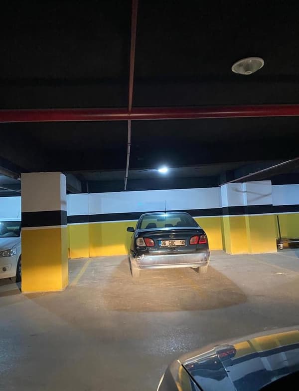 Palmiye Restoran - 12. Fotoğraf