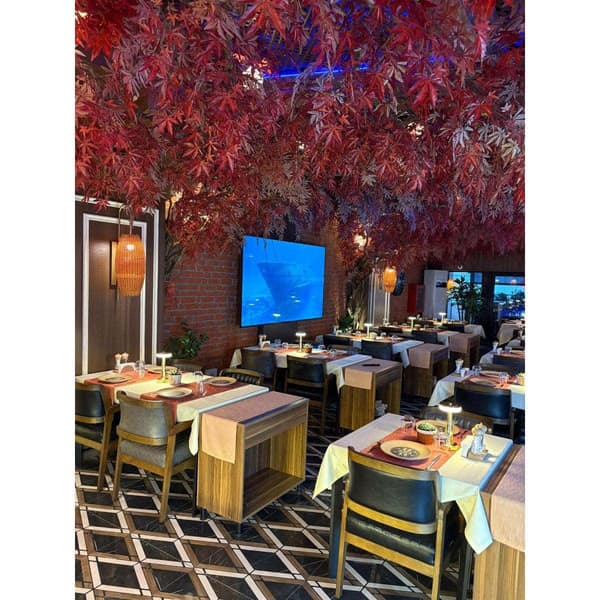 Palmiye Restoran - 12. Fotoğraf