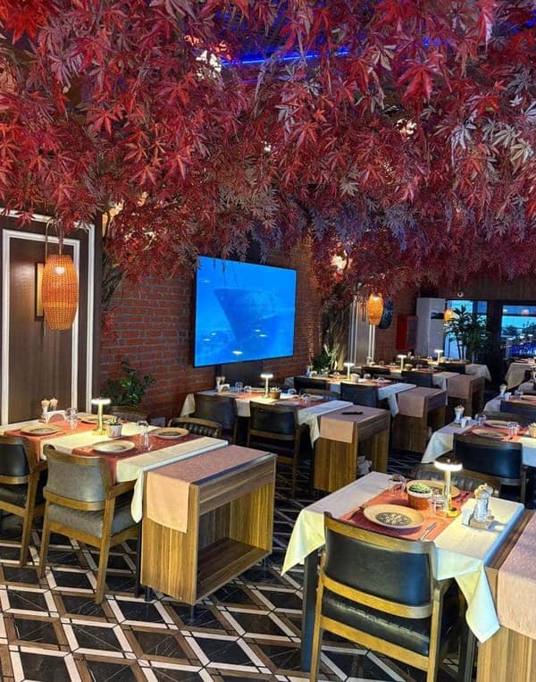 Palmiye Restoran - 20. Fotoğraf