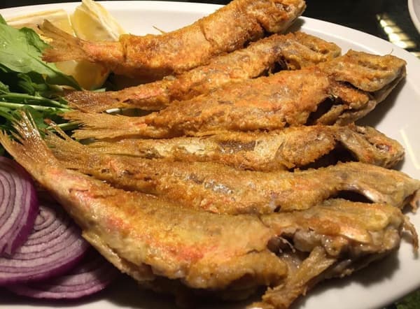 Çiroz Keyif - 11. Fotoğraf Çiroz Keyif - 11. Fotoğraf