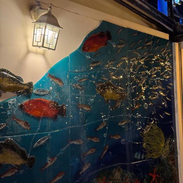 Çiroz Keyif - 7. Fotoğraf Çiroz Keyif - 7. Fotoğraf