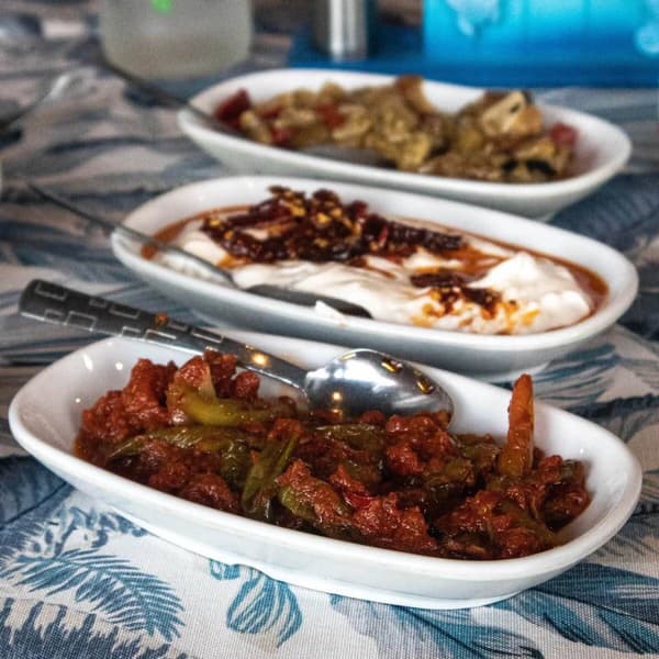 Çiroz Balık Servet - 2. Fotoğraf